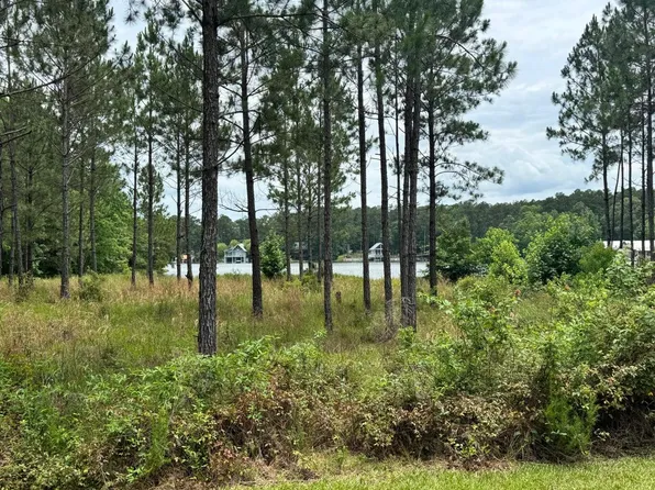 174 Ella Point Lot 4, Lumberton, MS 39455