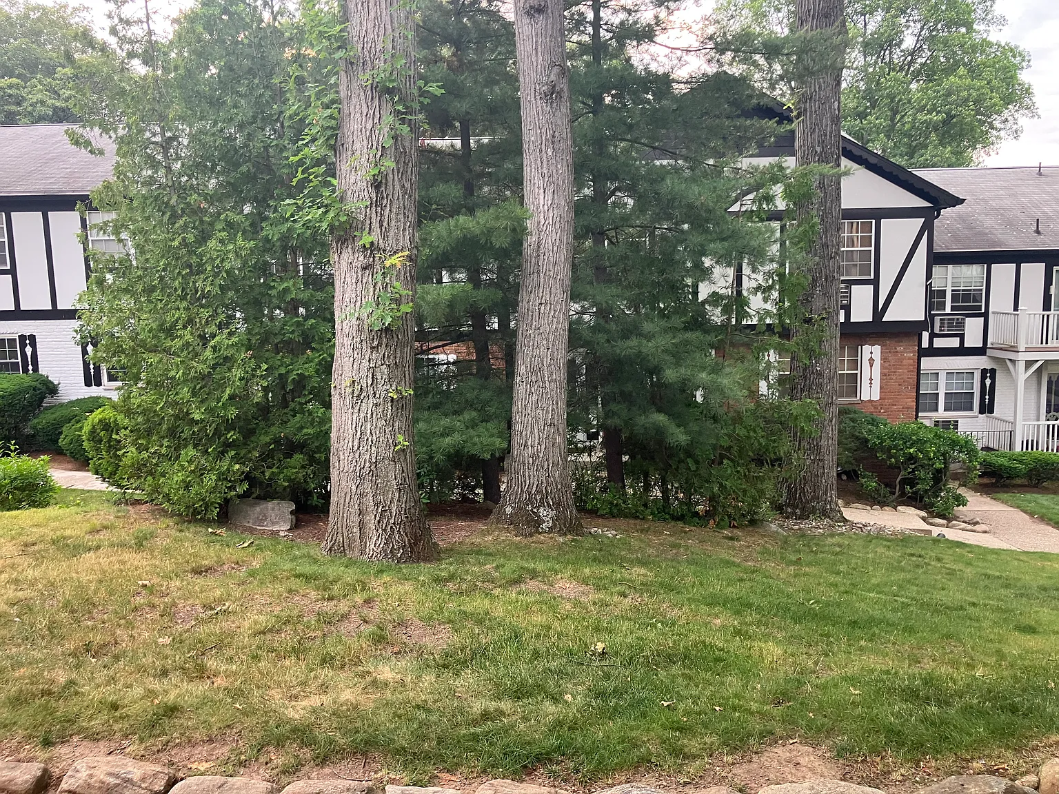 2 bed, 740 sqft, $2,100 — Photo 2