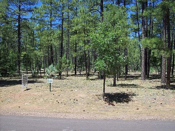 3rd image of 1920 S Bristle Cone Dr