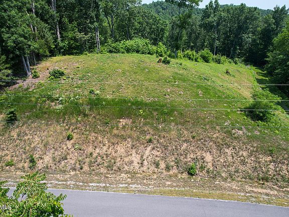3rd image of 52 Fork Horn Lot 52
