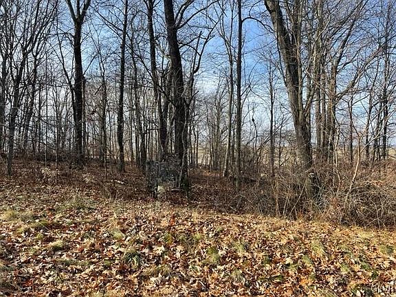 4th image of 98 Shepherd Hill Rd Lot 22