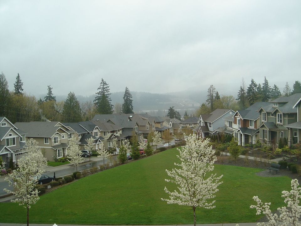 View from living room