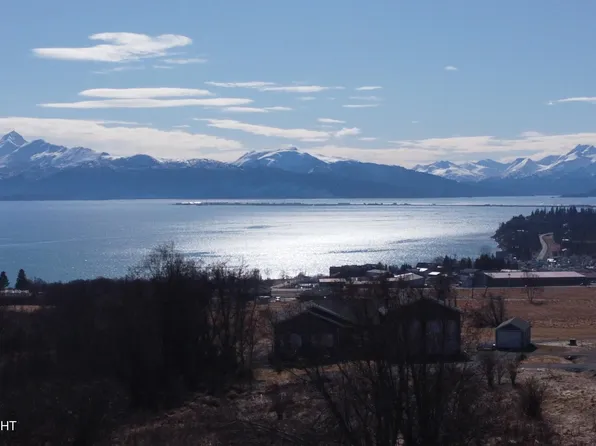 41110 Wandering St, Homer, AK 99603