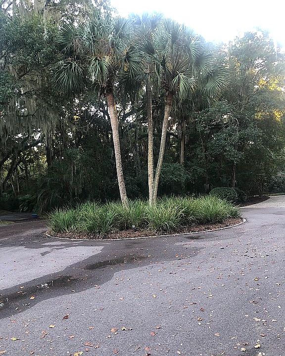 Front of lot