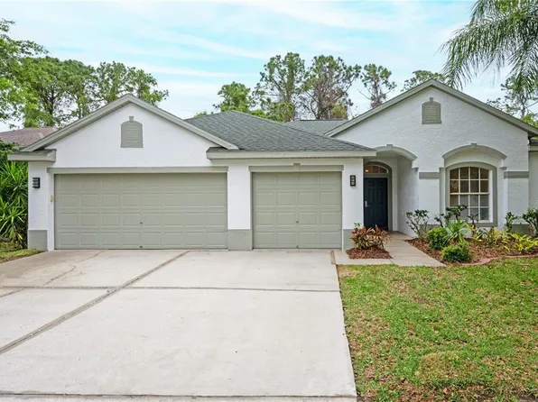 10535 Weybridge Dr, Tampa, FL 33626