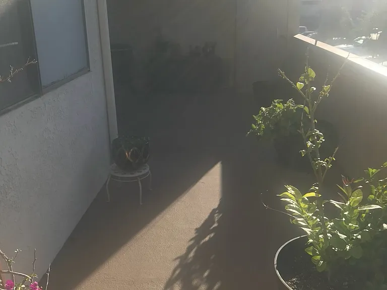 158 Maegan Pl — Photo 12