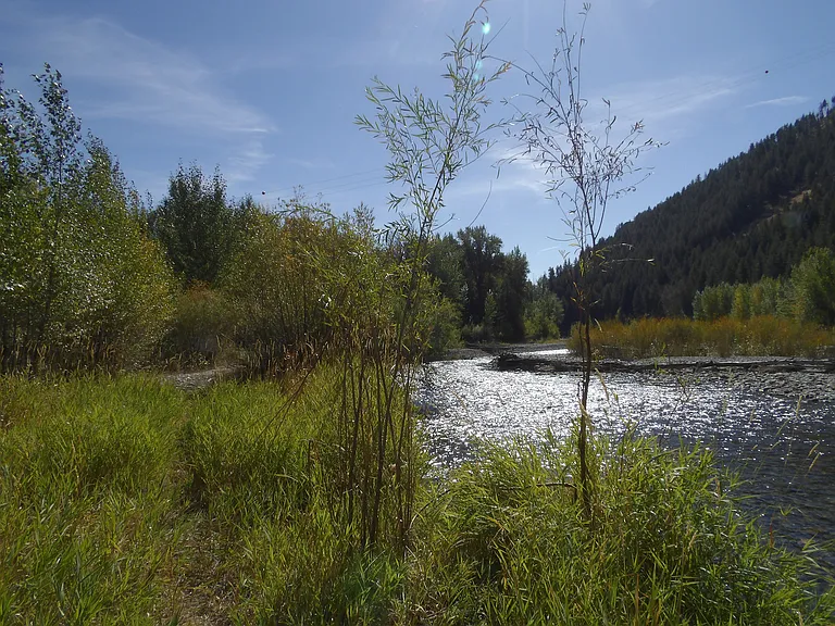 170 Aspen Lakes Dr — Photo 57