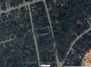 LOT 20 Buchanan St, Innisfil, ON L9S3W7