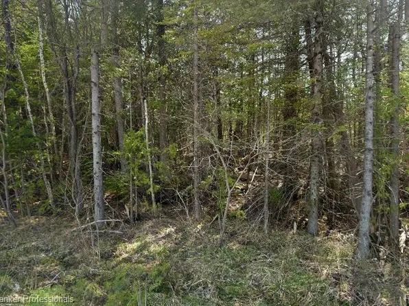 0 Rayburn Hwy, Presque Isle, MI 49777