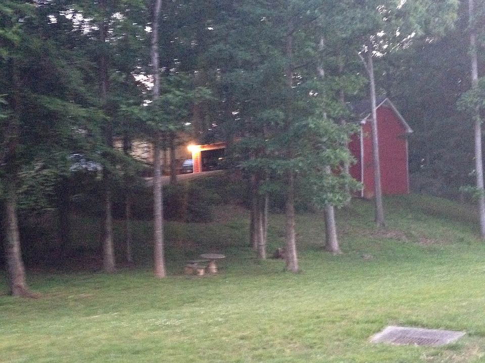 In spring near sunset