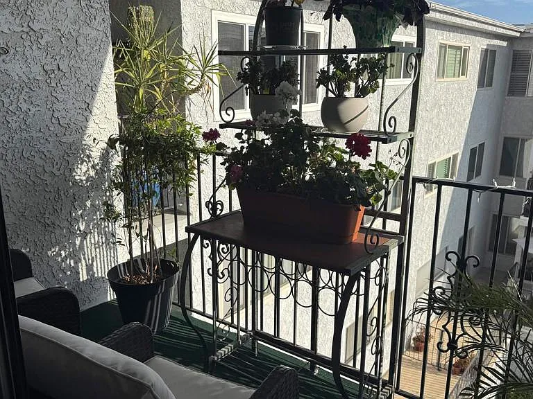 333 Orange Ave #41 — Photo 3