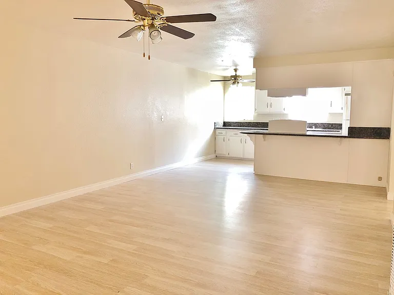14916 Gagely Dr — Photo 4