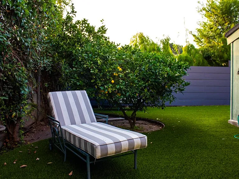 Lounge chair by fruit trees.