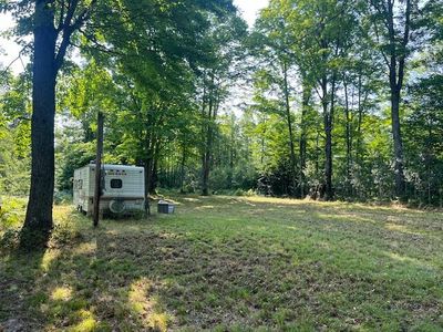 11618 Hardwood Trl, Frederic, MI, 49733