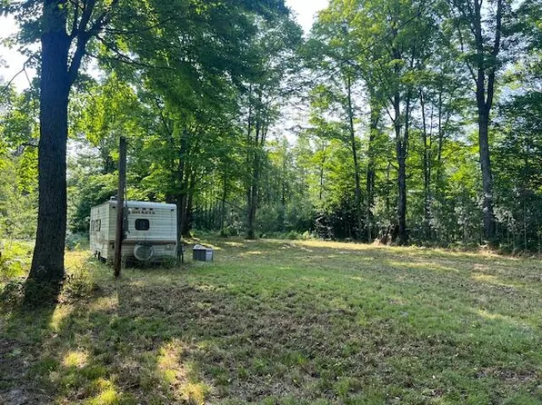 11618 Hardwood Trl, Frederic, MI 49733