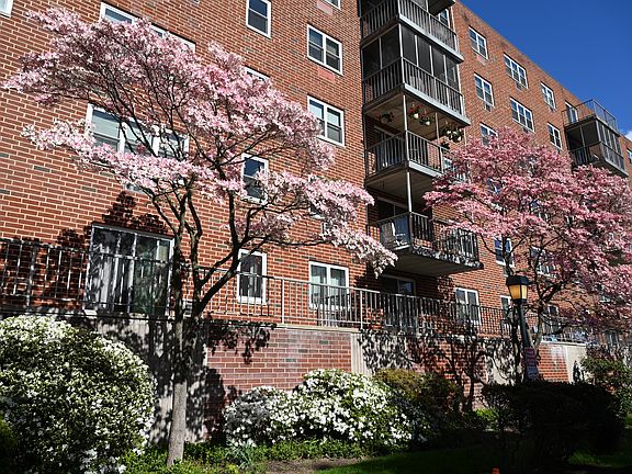 4th image of 27 Northill St APT 6U