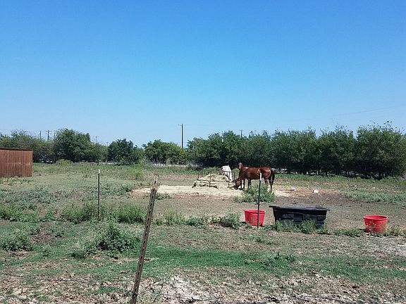 Room for your horses