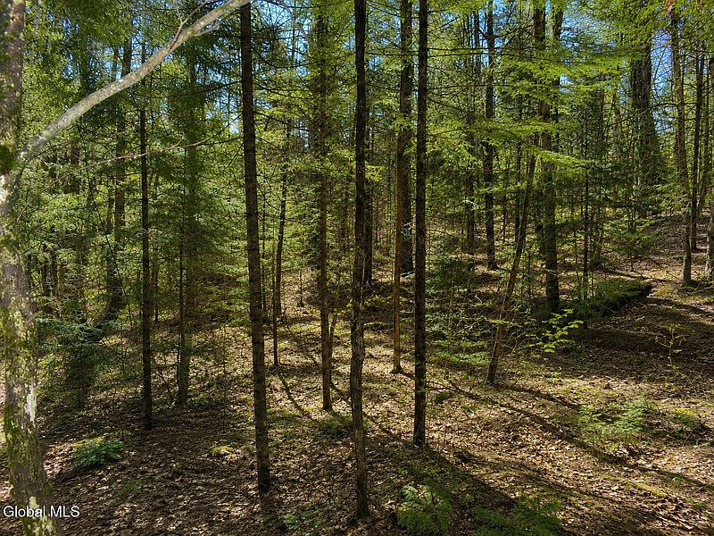 5th image of L96 Highview Lane Lot 12