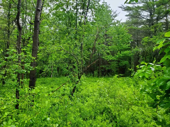 00 Ryder Corner Road, Croydon, NH 03773