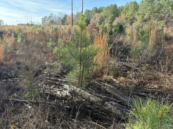 Diamond Grove Rd, Skippers, VA 23879
