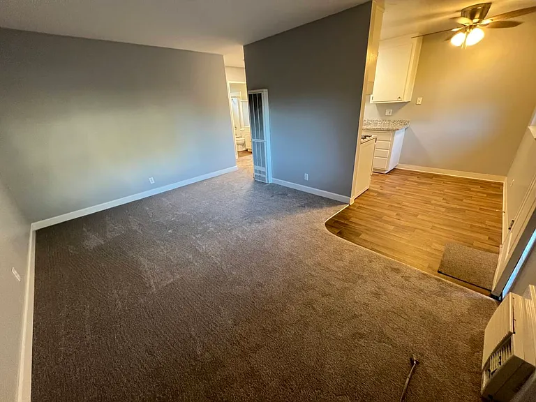 Tiffany Plaza Apartments — Photo 7