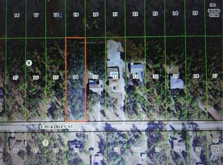 1669 E McKinley St, Hernando, FL 34442