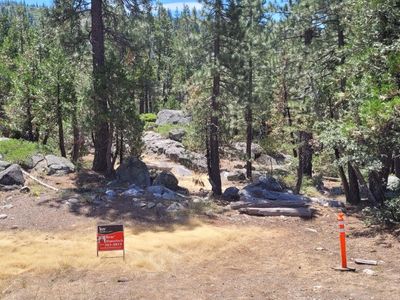 12365 New Forest Dr, Soda Springs, CA, 95728