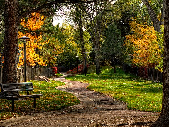 Neighborhood Walking Path