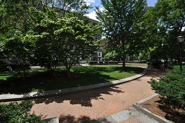 Rented by Douglas Elliman | media 22