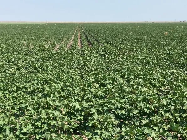 0 Highway 83, Liberal, KS 67901