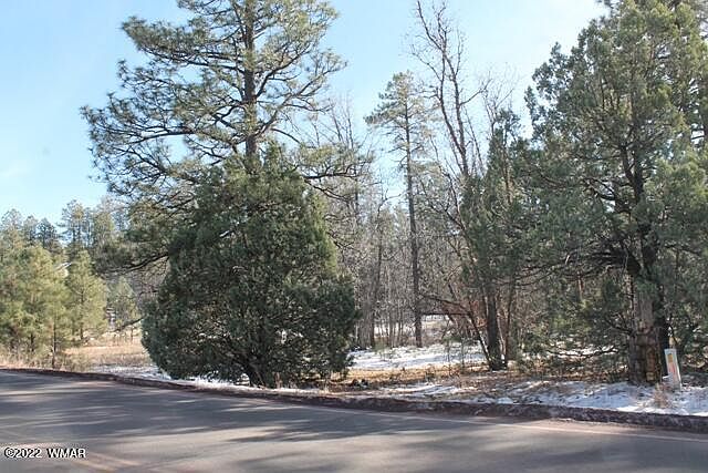 2nd image of W Woodland Lake Rd