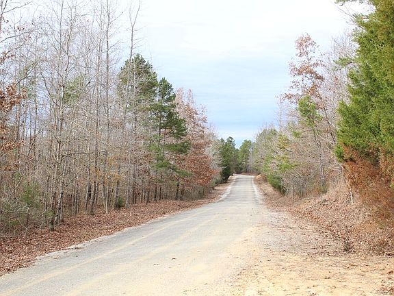 4th image of 300 County Road 319
