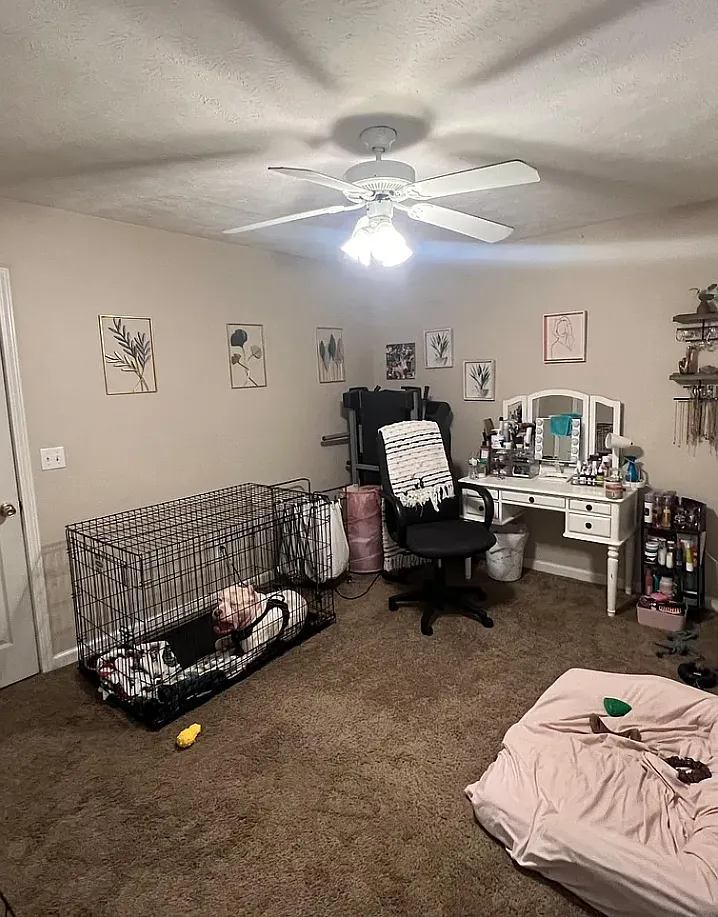 2 bed, 1.5 bath, 1100 sqft, $1,100 — Photo 4