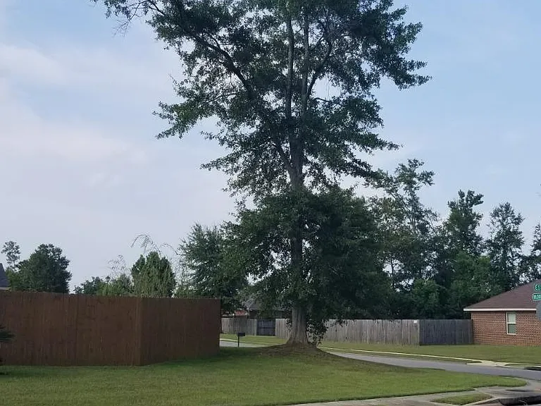 9718 Estate Dr — Photo 4