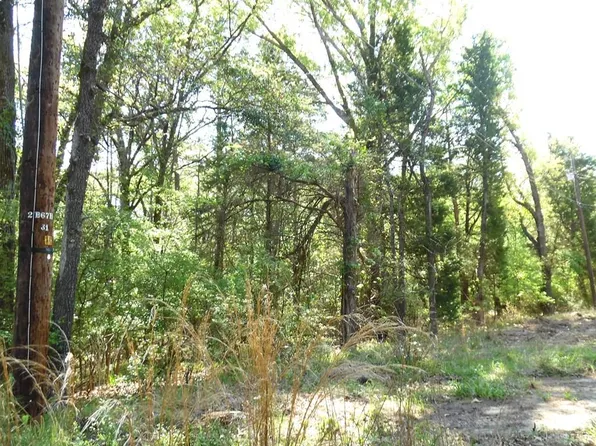 Tbd17 Dogwood Dr, Murchison, TX 75778