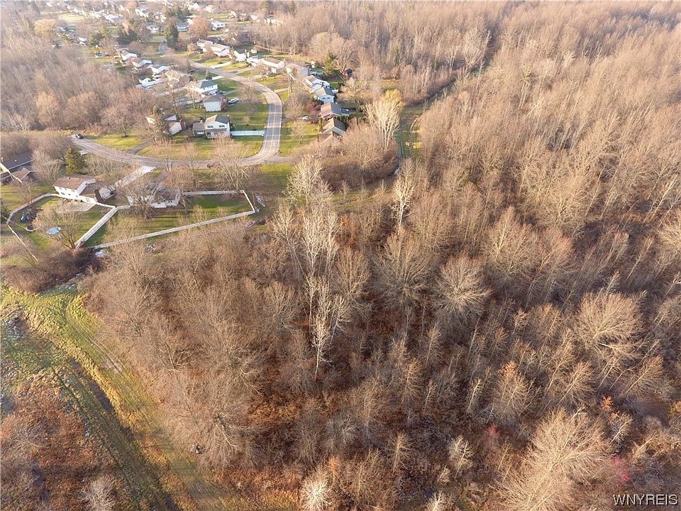 1st image of Lynnbrook Dr #10