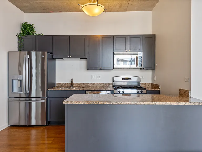 700 N Larrabee St #801 — Photo 7