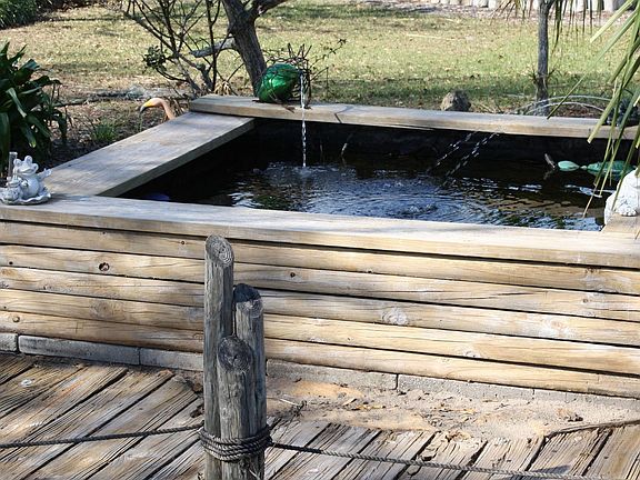 goldfish pond with UV light for clean, clear water
