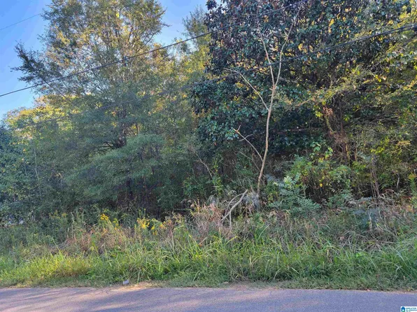 312 Pine St SW #24.002, Bessemer, AL 35022