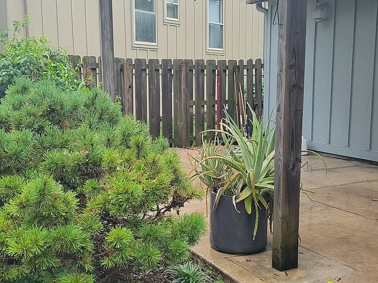 8009 Rosehill Rd — Photo 18