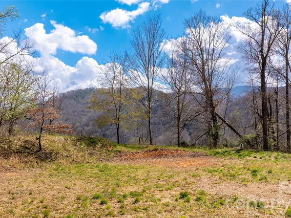 90 Last Coyote Trl, Canton, NC 28716