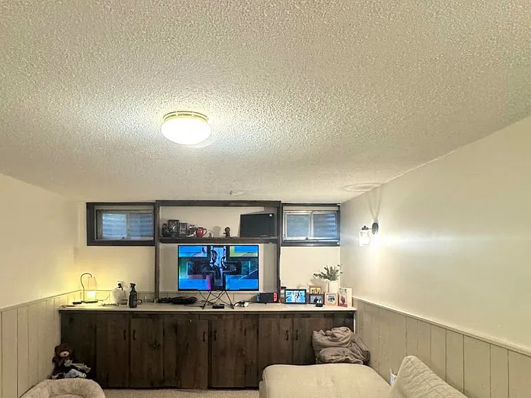47 Parkview Pl #BASEMENT — Photo 12
