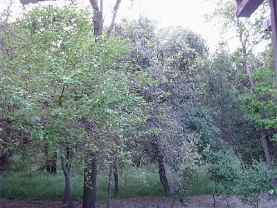 1st image of 6335 Slippery Creek Ln #L