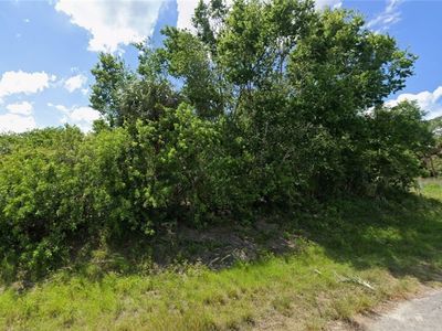 324 Phoenix Ter, Labelle, FL, 33935
