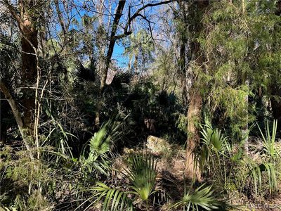 0 Winding River Ln, Inglis, FL, 34449