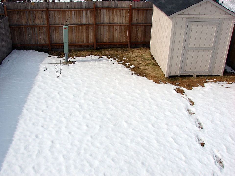 2nd image of 1827 Colony Pl