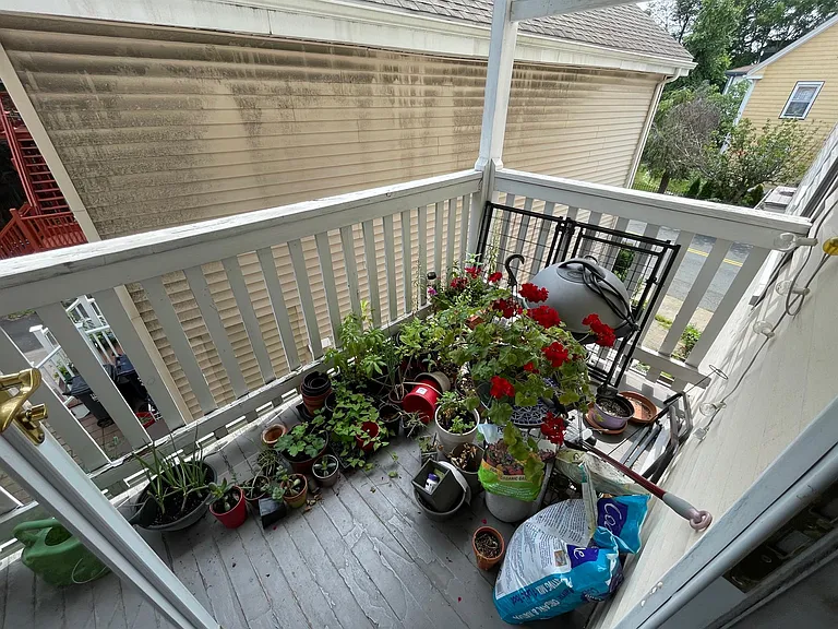 183 Rindge Ave #3 — Photo 11
