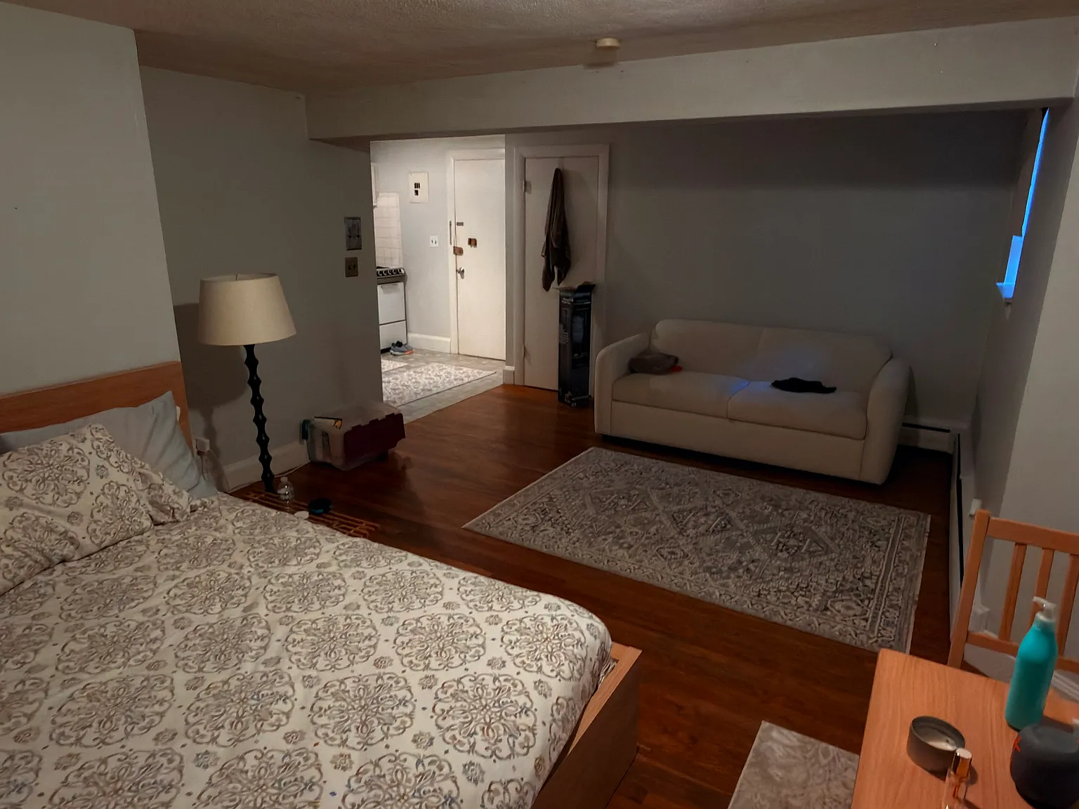 Studio, 450 sqft, $1,900 — Photo 3