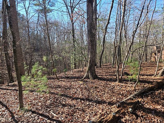 5th image of LOT 1405 Malory Cir