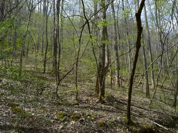 100 Wallace Rd, Murphy, NC 28906